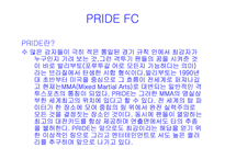 [일본문화]일본 이종격투기-4