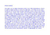 [일본문화]일본 이종격투기-6