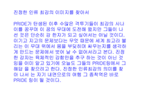 [일본문화]일본 이종격투기-7