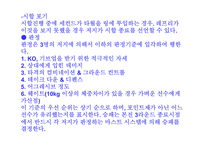 [일본문화]일본 이종격투기-11