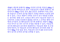 [일본문화]일본 이종격투기-16