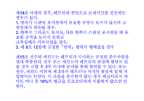[일본문화]일본 이종격투기-18