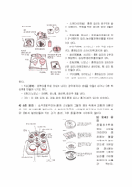 [일본문화] 일본의 전통음식문화-12