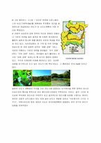 일본의 코호쿠뉴타운-5