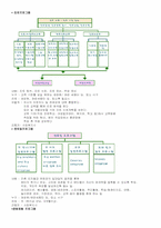 [청소년복지] 미혼모복지- 미혼모시설(애란원)과 미혼모복지-5