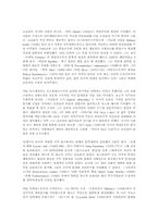 [러시아문화] 러시아문학-9