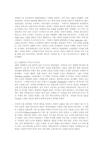 [러시아문화] 러시아문학-12