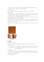 [한국문화] 한국의 민속과 민속놀이-3