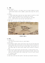 [한국문화] 한국의 민속과 민속놀이-5