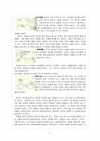 공자사상 레포트-3