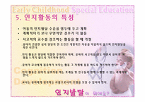[유아특수교육개론] 인지발달이란-12