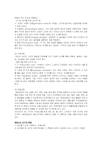[교육철학] 몬테소리의 교육사상과 교육철학-11