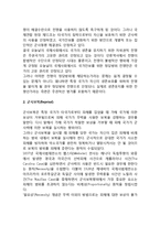 [전쟁의 유형] 전쟁의 형태-5