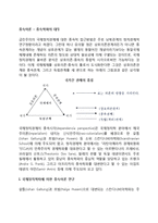 [종속이론] 종속학파의 대두 - 종속이론의 연구-2
