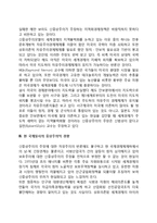 신중상주의모델에 대한 비판-3