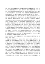 신중상주의모델에 대한 비판-4