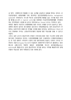 신중상주의모델에 대한 비판-5