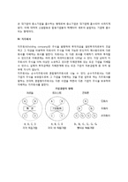 기업의 결합(콘체른, 카르텔, 트러스트, 지주회사)-4