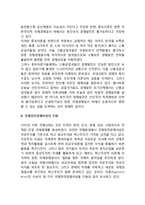 국제정치경제이념(중상주의, 자유주의, 혁신주의, 국제정치경제이념의 조화)-19