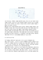 프로젝트의 일정계획과 통제기법 - 작업명세구조도(WBS), 간트차트, 루팅, PERT, CPM-8