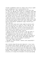 한국경제(우리나라경제)의 발전모델-6