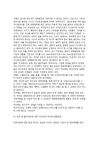 한국경제(우리나라경제)의 발전모델-8
