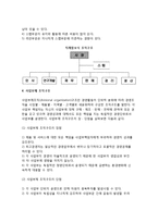 [경영조직구조] 경영조직의 구성원칙, 경영조직구조의 형태(유형), 특징(특성) 결정요인-8