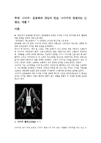 마케팅 전략 사례분석(나이키)-1