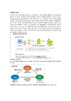 소셜커머스란 레포트-1