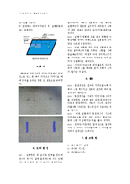 등전위선 측정 레포트-2