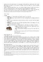 생물실험레포트 쥐해부-5