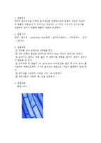 식물 양파세포의 관찰-2