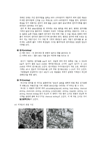 기계공작법 및 실습(미세조직 관찰 및 실습)-3