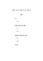 행정 복합 도시 세종시-1