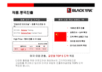 블랙야크 아웃도어 시장1위 도약을 위한 성공전략-11