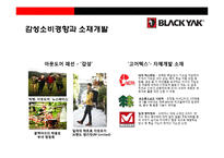 블랙야크 아웃도어 시장1위 도약을 위한 성공전략-12