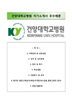 (건양대학교병원자기소개서+면접족보) 건양대학교병원(간호사)자소서,건양대학교병원합격자기소개서,건양대학교병원간호직자소서,건양대병원자기소개서,건양대병원자소서-1