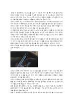 타워 영화감상문-2