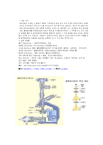 금속조직학실험-4