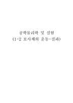 일반물리학 1-2 포사체의 운동-결과-1