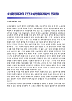 소방행정체계의 진단(소방행정체계상의 문제점)-1