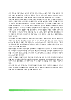 미국 경찰의 역사(미국경찰제도의 발전과정)-4