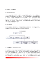 영국의 경찰역사와 영국경찰조직-5