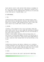 투자재원조달(자체재원, 의존재원, 민간자본유치, 프로젝트파이낸싱)-11