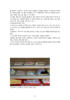 루돌프슈타이너생애와철학, 발도르프교육학(발도르프교육, 유아교육, 발돌프교육학)-9
