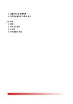 외국의 자치경찰제도 - 미국, 영국, 프랑스, 스페인, 독일, 일본의 자치경찰제도-2