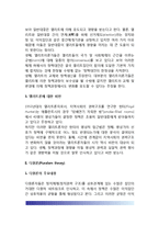 [정치권력구조] 정치권력(엘리트론, 다원론, 신 엘리트이론, 하위정부이론, 조합주의이론, 정책네트워크이론)-4