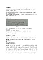 28장 예비보고서-전류자기력-1