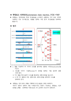 중합효소 연쇄반응(polymerase chain reaction, PCR)-2