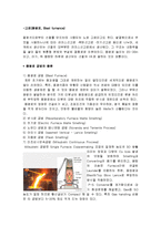 고로 공법과 파이넥스 공법-4